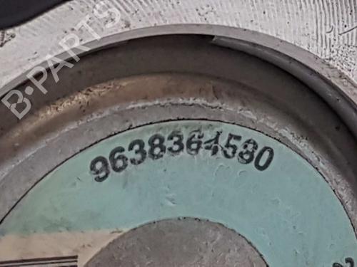 Steering pump PEUGEOT 206 Hatchback (2A/C) 1.4 HDi eco 70 | BP5542932M99