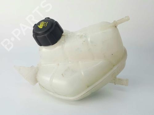 Expansion tank NISSAN QASHQAI II (J11, J11_) 1.6 dCi | BP5934836C120