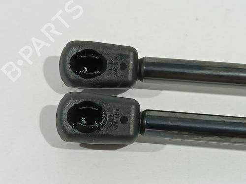 Tailgate lift support TOYOTA C-HR (_X2_, _H2_) Hybrid (ZYX20) | BP19126994C138