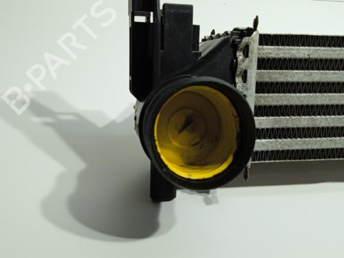 Intercooler SEAT IBIZA IV (6J5, 6P1) | BP29171105M30