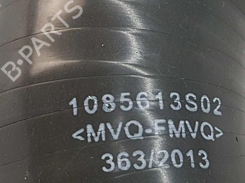 Pipe RENAULT SCÉNIC III (JZ0/1_) 1.5 dCi | BP14536368M125