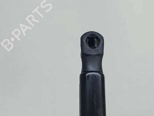 Tailgate lift support FORD FOCUS III 1.6 TDCi | BP14542212C138 