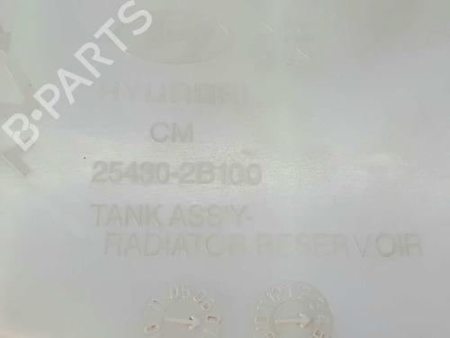 Expansion tank HYUNDAI SANTA FÉ II (CM)  | BP5155956C120 