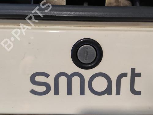 tailgate-handle-smart-city-coupe-450-07-450333-1998-1999-2000-2001-2002-2003-2004-16662742 main image