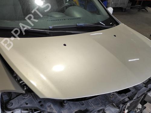 Hood RENAULT CLIO III (BR0/1, CR0/1) 1.5 dCi (BR17, CR17) | BP24018655C1