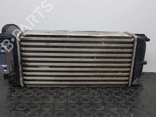 Intercooler PEUGEOT PARTNER Tepee 1.6 HDi | BP3291090M30