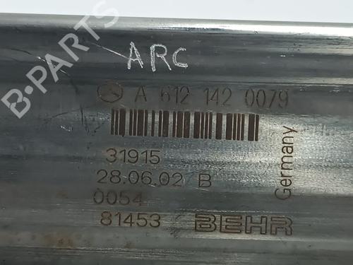 EGR-Ventil MERCEDES-BENZ M-CLASS (W163) ML 270 CDI (163.113) | BP20507223M69 