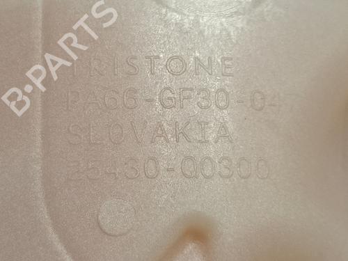 Expansion tank HYUNDAI i20 III (BC3, BI3) 1.0 T-GDI hybrid 48V | BP29963913C120 