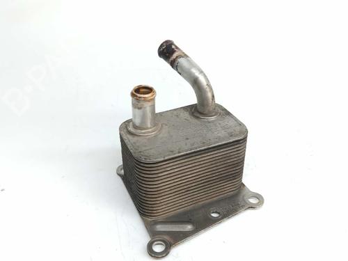 Oil radiator FORD TRANSIT CONNECT (P65_, P70_, P80_) 1.8 TDCi | BP14538961M33 