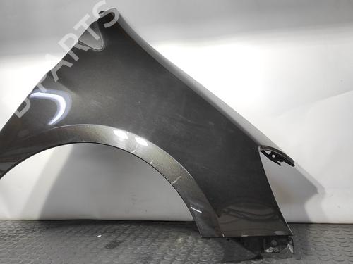 Right front fenders RENAULT CLIO III (BR0/1, CR0/1) 1.5 dCi (BR17, CR17) | BP9107796C42 