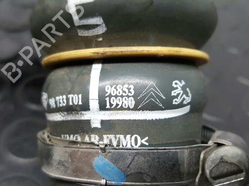 Pipe PEUGEOT 208 I (CA_, CC_) 1.6 HDi | BP14531443M125