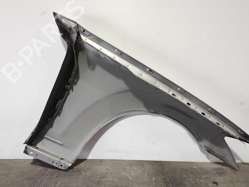 Left front fenders MERCEDES-BENZ S-CLASS (W221, V221)  | BP20163368C41 
