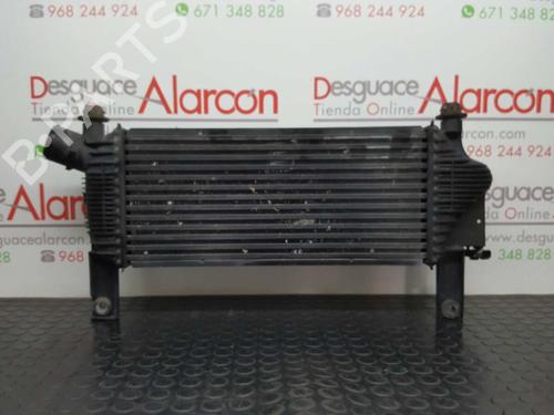 Intercooler NISSAN PATHFINDER III (R51) 2.5 dCi (174 hp) 2743763