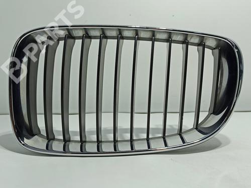 Front grille BMW 1 (E87) 116 d (116 hp) 7166439 | 7179655 51137128613