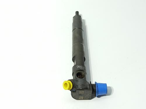 Injector MERCEDES-BENZ E-CLASS (W212) E 220 CDI / BlueTEC (212.001, 212.002) | BP30606946M100