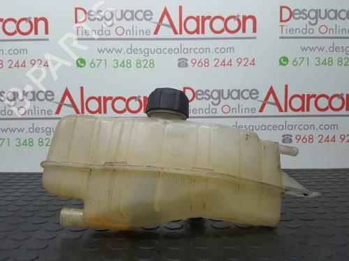 Used Expansion tank RENAULT CLIO III (BR0/1, CR0/1) 1.5 dCi (BR17, CR17) (86 hp) 2750073