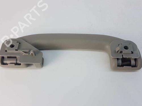 Interior roof handle NISSAN PATHFINDER III (R51) 2.5 dCi 4WD | BP14537778I35
