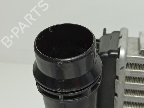 Intercooler NISSAN JUKE (F16_) 1.0 | BP29873546M30