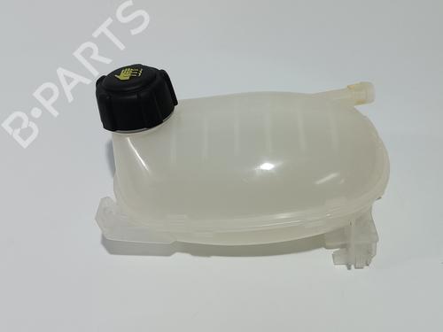 Used Expansion tank DACIA SANDERO III 1.0 TCe LPG (91 hp) 13328554