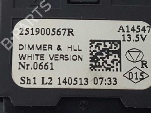 Headlight switch RENAULT SCÉNIC III (JZ0/1_) 1.5 dCi | BP14533449I24