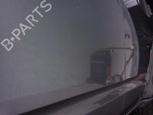 Left front door NISSAN PATHFINDER III (R51) 2.5 dCi | BP6564986C2