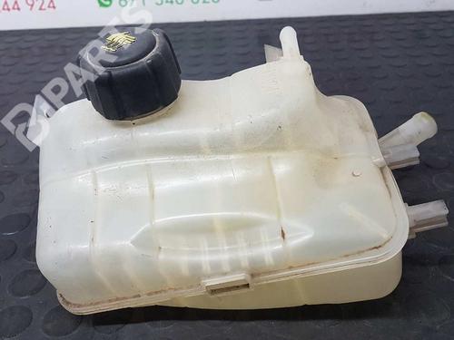 Ekspansjonstank RENAULT MEGANE III Hatchback (BZ0/1_, B3_) 1.5 dCi (106 hp) 2744049