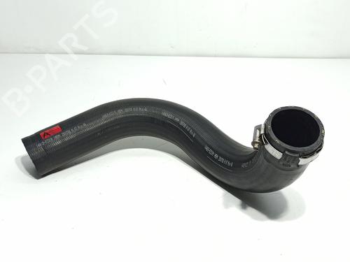 Used Pipe NISSAN PATHFINDER III (R51) 2.5 dCi (174 hp) 19799287