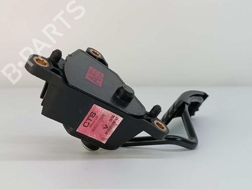 Pedal RENAULT ZOE (BFM_)  | BP11528126I4
