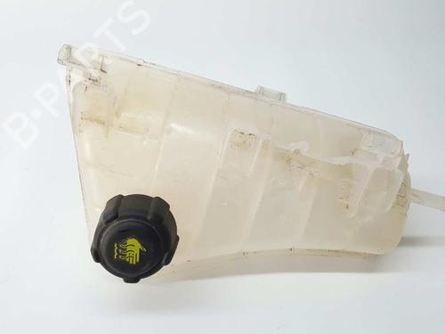 Ekspansjonstank RENAULT KANGOO Express (FW0/1_) [2008-2025]  2902366