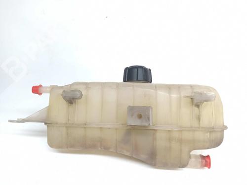 Used Expansion tank RENAULT CLIO III (BR0/1, CR0/1) 1.5 dCi (C/BR0G, C/BR1G) (68 hp) 9191416