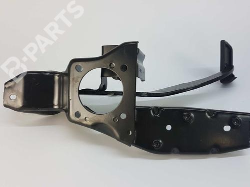 Break pedal LAND ROVER RANGE ROVER EVOQUE (L538) 2.2 D 4x4 | BP8778604I19 