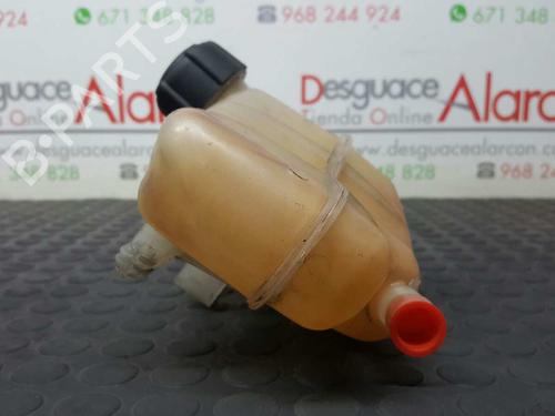 Expansion tank RENAULT CLIO III (BR0/1, CR0/1) 1.5 dCi | BP2769965C120 