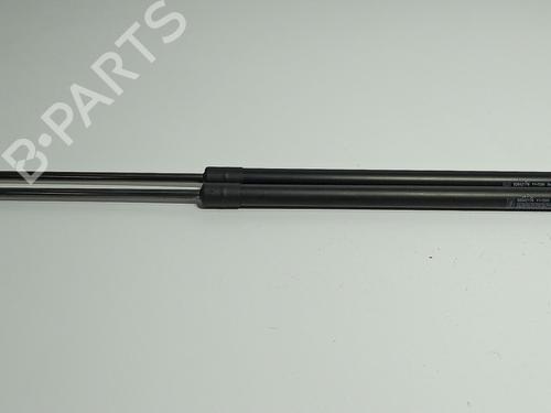 tailgate-lift-support-fiat-doblo-cargo-263_-2010-36263398 main image