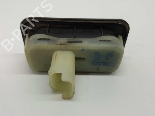 Tailgate handle RENAULT CLIO III (BR0/1, CR0/1) 1.5 dCi (C/BR0G, C/BR1G) | BP2741533C132