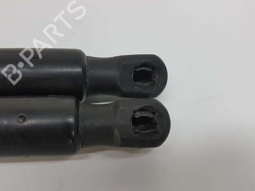 Tailgate lift support CITROËN C5 III Break (RW_) 1.6 HDi 110 | BP14529718C138