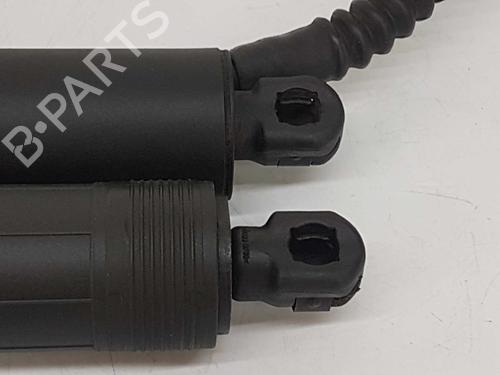 Tailgate lift support BMW X5 (F15, F85) xDrive 30 d | BP14542588C138 