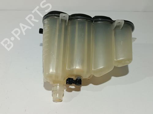 Expansion tank LAND ROVER RANGE ROVER VELAR (L560) 2.0 D240 SD4 4x4 | BP29602045C120