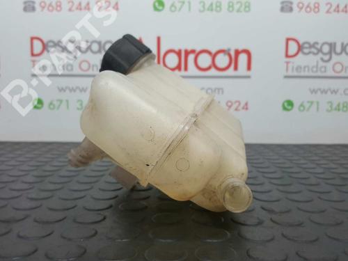 Expansion tank RENAULT CLIO III (BR0/1, CR0/1) 1.2 16V | BP2773189C120 