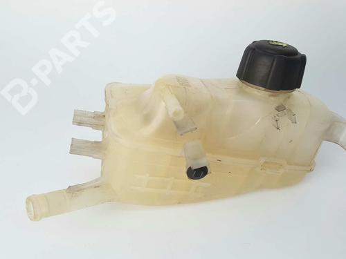 Expansion tank RENAULT MEGANE III Hatchback (BZ0/1_, B3_) 2.0 dCi (BZ0Y) 217100005R