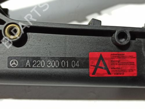 Pedal MERCEDES-BENZ S-CLASS (W221, V221)  | BP26174387I4 