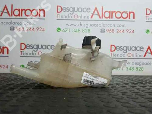 Expansion tank RENAULT MEGANE III Hatchback (BZ0/1_, B3_) 1.5 dCi (BZ09, BZ0D, BZ1W, BZ29, BZ14) | BP2731882C120 