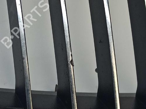 Grille BMW 3 (E90) 320 d | BP17036389C40 