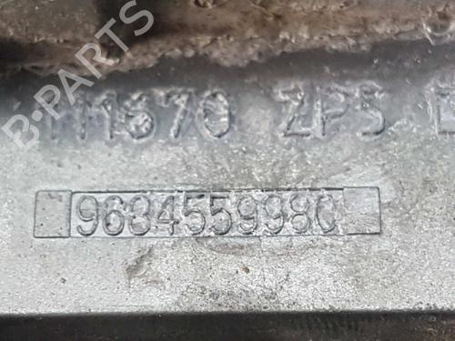 Front right exterior door handle CITROËN C3 II (SC_) 1.6 BlueHDi 75 | BP3286817C129 