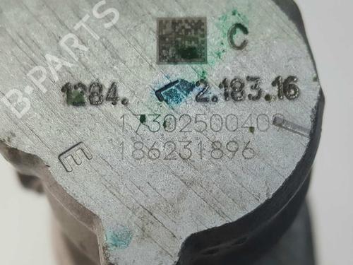 Brake master cylinder NISSAN QASHQAI II (J11, J11_) 1.6 dCi | BP5934806M77