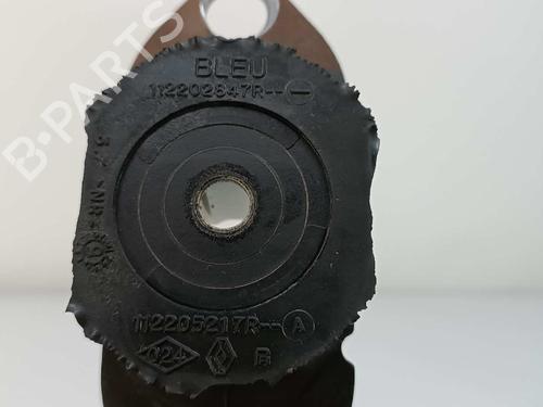 Engine mount RENAULT ZOE (BFM_)  | BP11528381M89