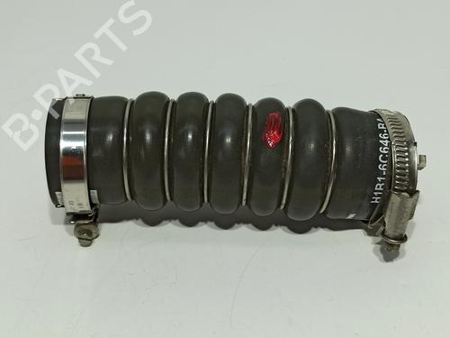 BP19077557M125 main image