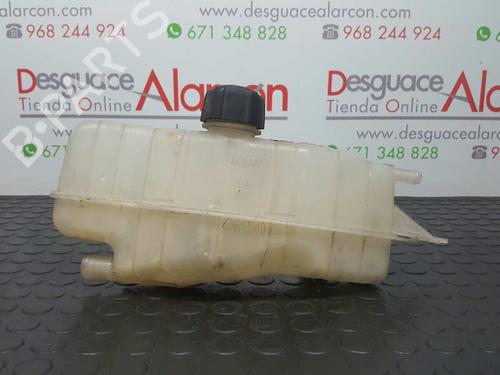 Expansion tank RENAULT CLIO III (BR0/1, CR0/1) 1.2 16V | BP2773189C120 