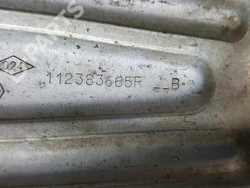Engine mount RENAULT KANGOO / GRAND KANGOO II (KW0/1_) 1.5 dCi 90 (KW05, KW08, KW0G, KW11) | BP10263676M89 