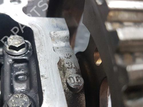 Cylinder head FORD FIESTA V (JH_, JD_) 1.4 TDCi | BP10977637M5 