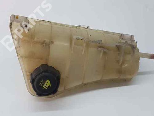 Used Expansion tank RENAULT KANGOO Express (FW0/1_) 1.5 dCi 85 (FW0K, FW0L, FW0B) (86 hp) 4687442